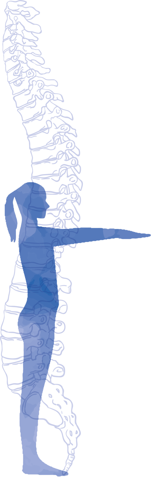 Illustrazione: figura femminile di profilo sovrapposta al disegno di una colonna vertebrale